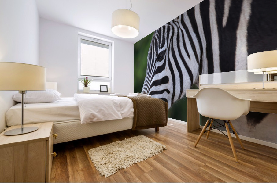 ZEBRA Mural print