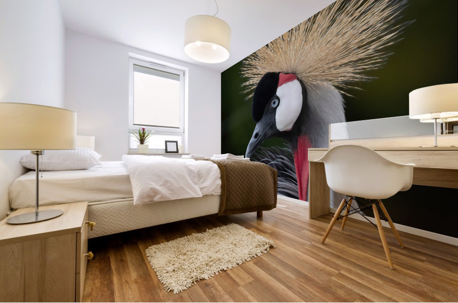  AFRICAN  CROWNED CRANE Mural print