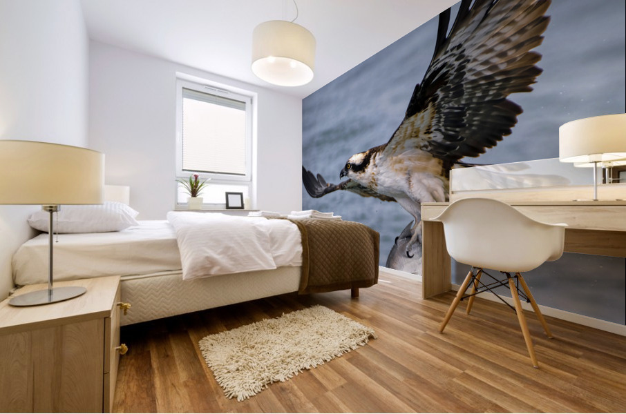 Osprey & Pompano Mural print