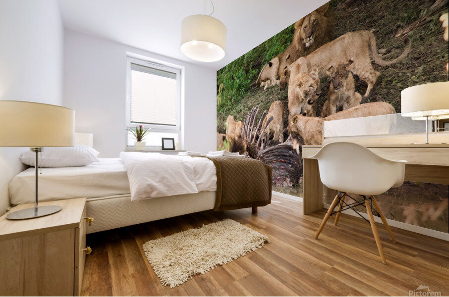 Lions and Hippo Mural print