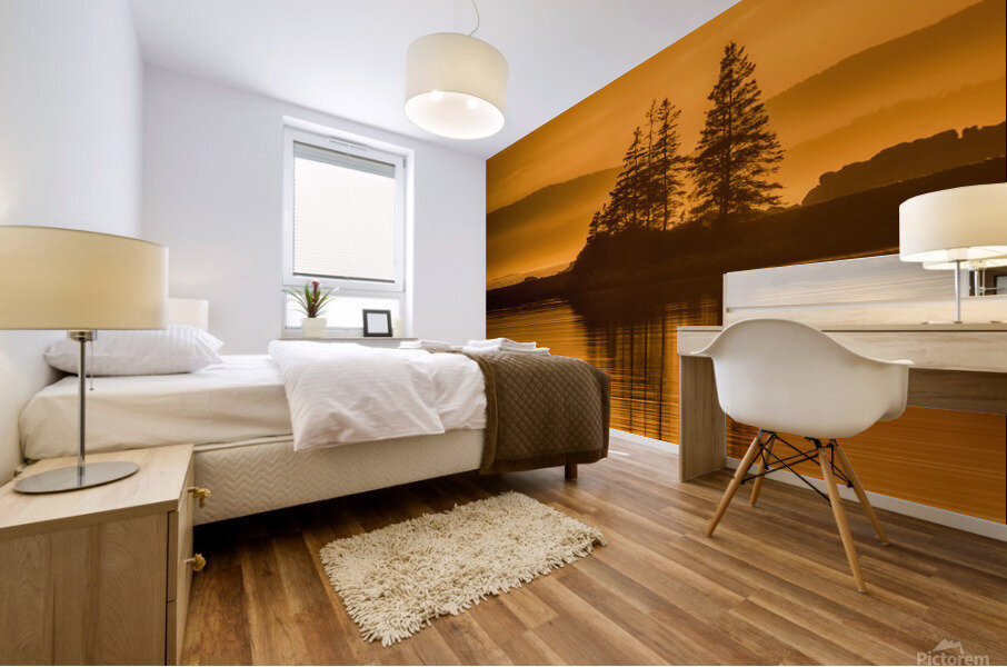 Essence of Acadia 2 Mural print