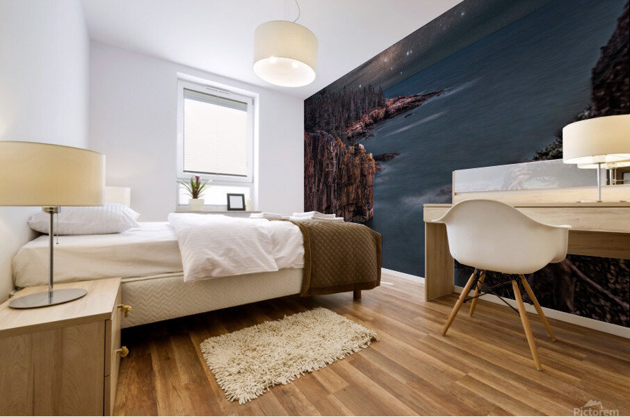 Acadia Cliffs Mural print