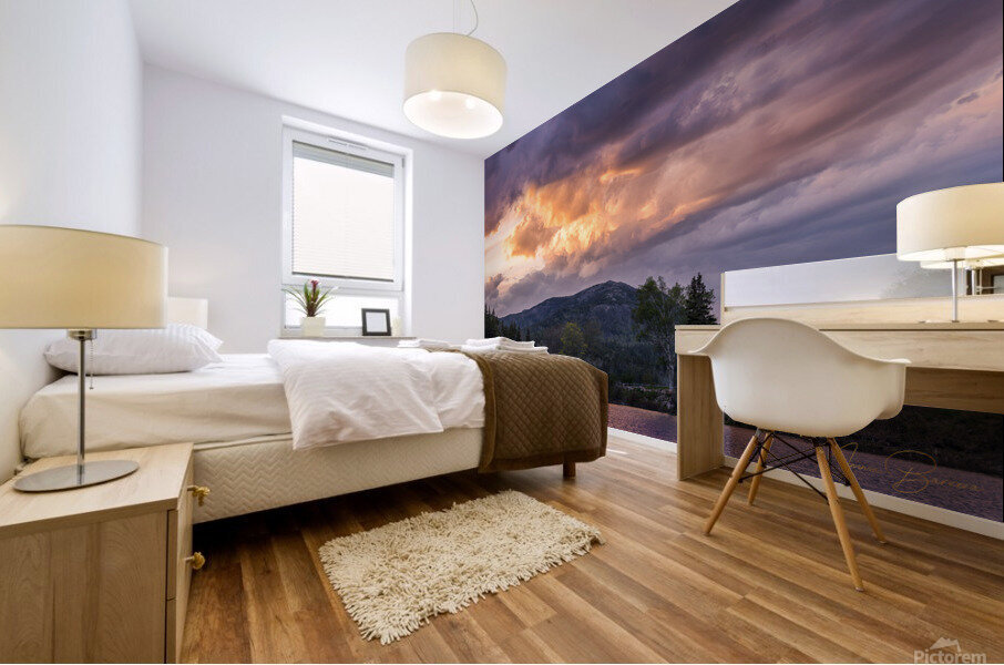 Acadia Sunsets Mural print