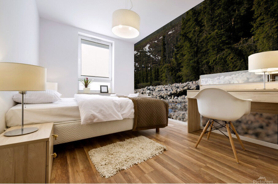 Denali from the North Mural print