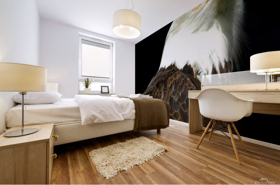 Bald Eagle Mural print