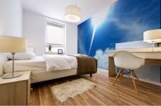 Bright & Sunny Mural print