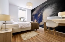 sleepy cortez Mural print