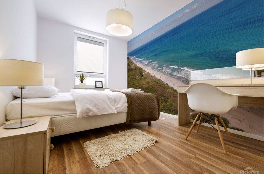 Hutchinson Island FL Mural print