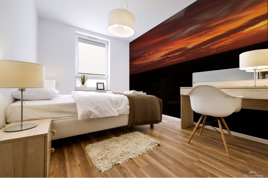 sunset Mural print