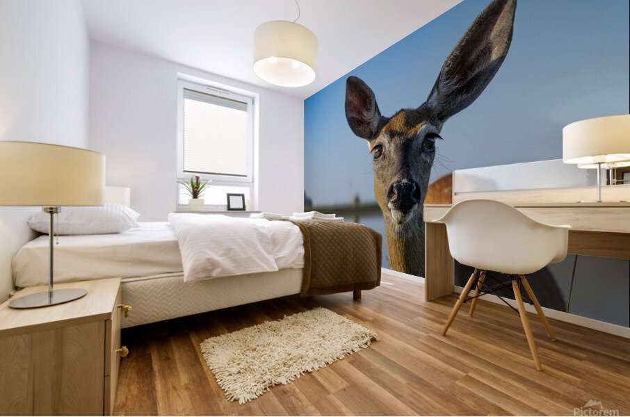 Doux yeux de biche Mural print