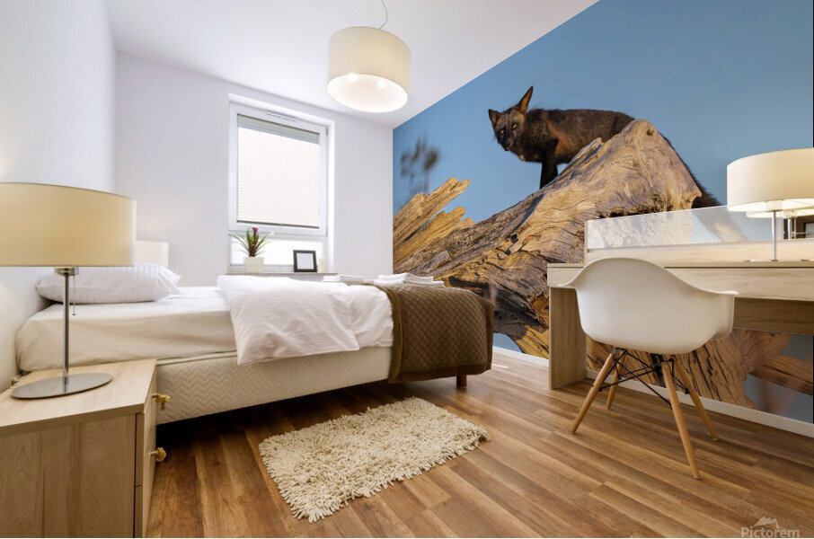 Des yeux de feu Mural print