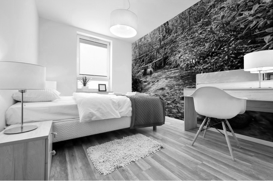 2022 June 20 RusticBridge02 Mural print