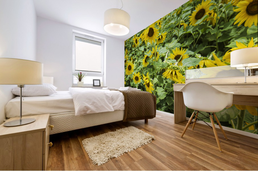 2022 July 15 Sunflower03 Mural print