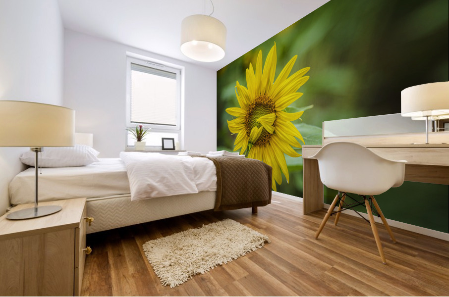 2022 July 15 Sunflower01 Mural print