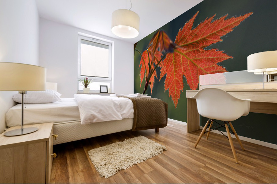 Feuille derable | Maple Leaf Mural print