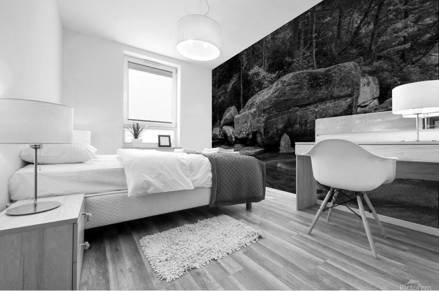 Long Shoals Rocks Mural print