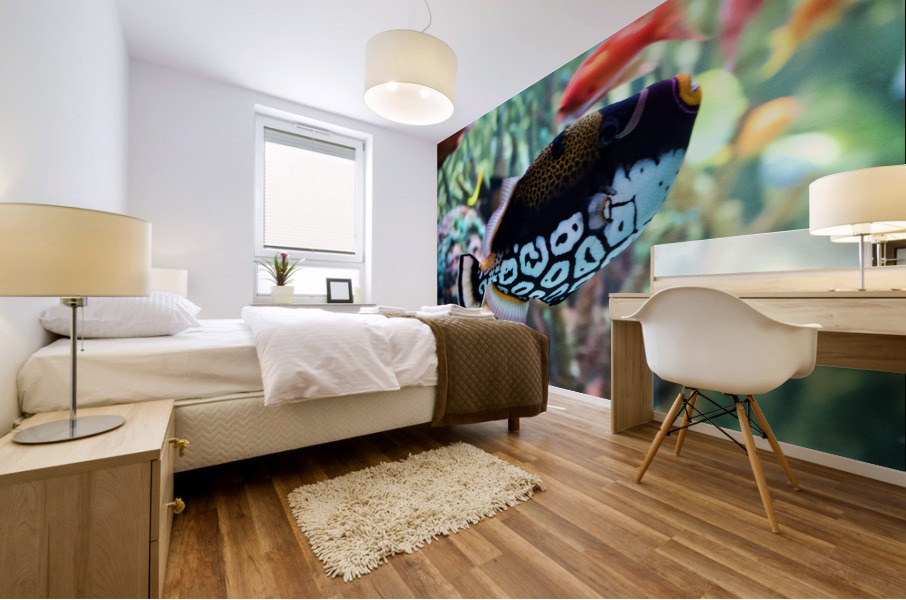 Untitled Mural print