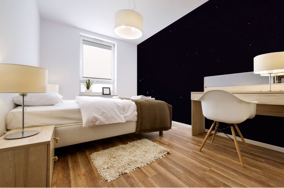 Starfields Mural print