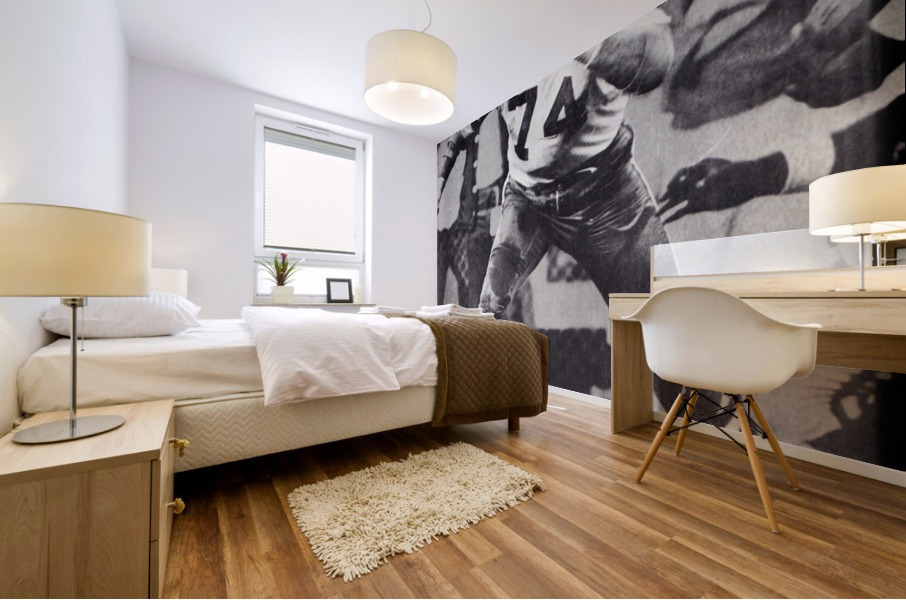 Dallas Cowboys Bob Lilly Photo Art Mural print