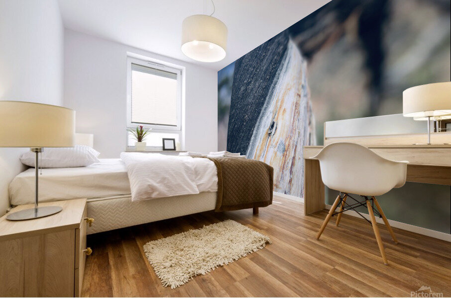 6BBE68EB 1EE1 478F 97FC 4ADC1EBFAC9B Mural print