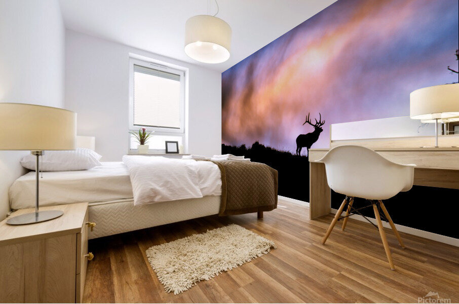 IMG 3303 Mural print