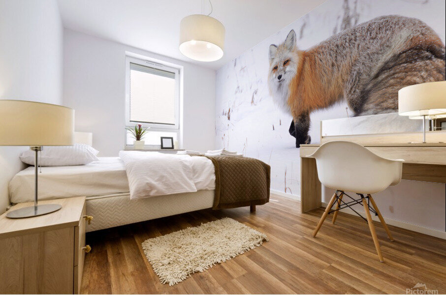 DSC03412 2 Mural print