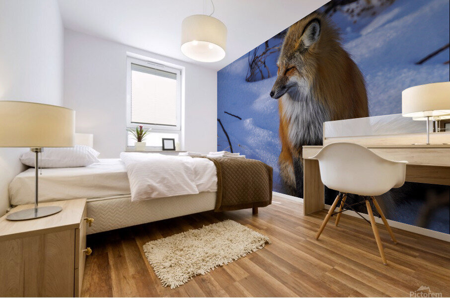 DSC03195 2 Mural print