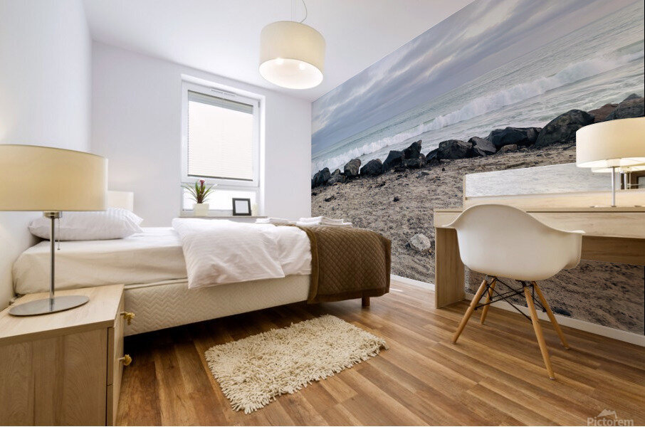 B3D23C1B 7877 42C8 8DC9 EAEDF3C25585 Mural print