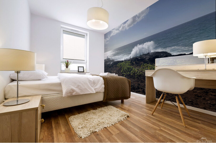 1A459F42 B90F 4192 B3C3 8E97F103E4BD Mural print