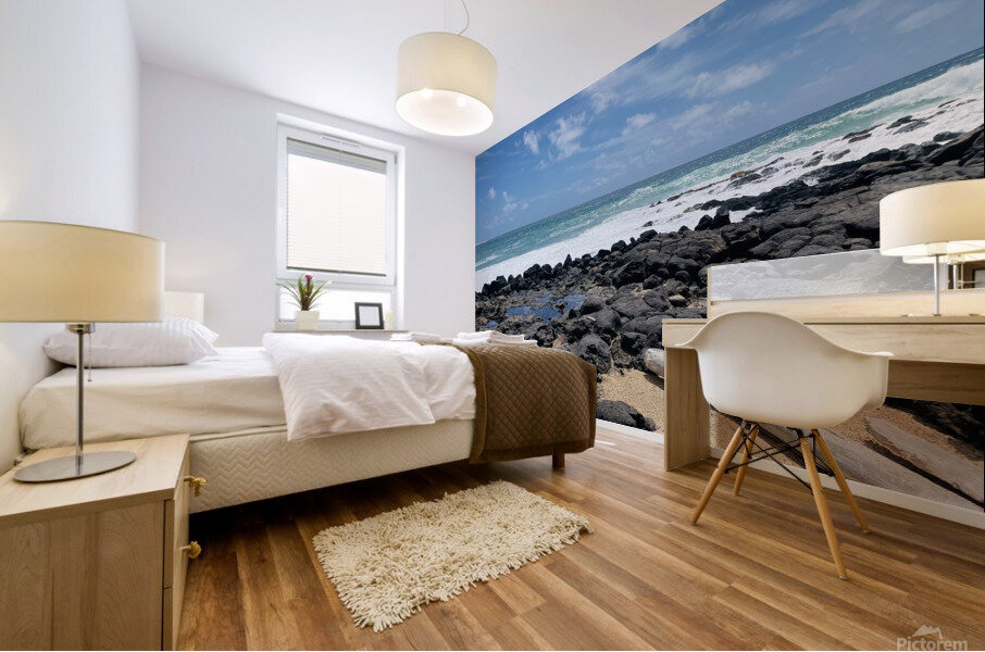 A3E6AD73 873E 43FD B745 61083C7C9597 Mural print