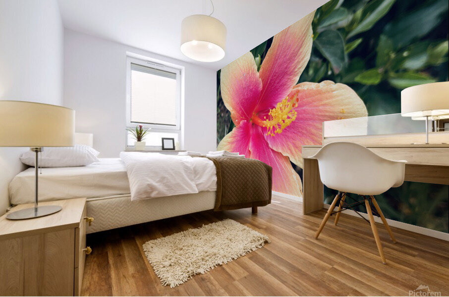 4E876D4E 8694 4A9D 987A ACCFED873125 Mural print