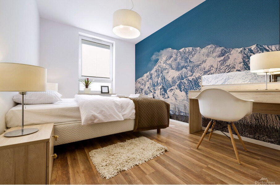 Denali on a bright blue day Mural print