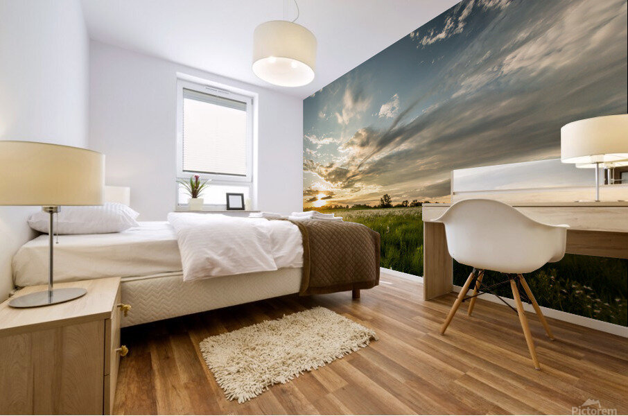 Nature Photography - Sunset Field - Busch Wildlife MO Mural print