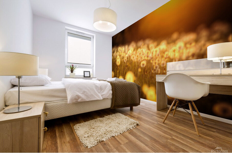 Artwork - Gods Paintbrush - St. Charles County Mural print