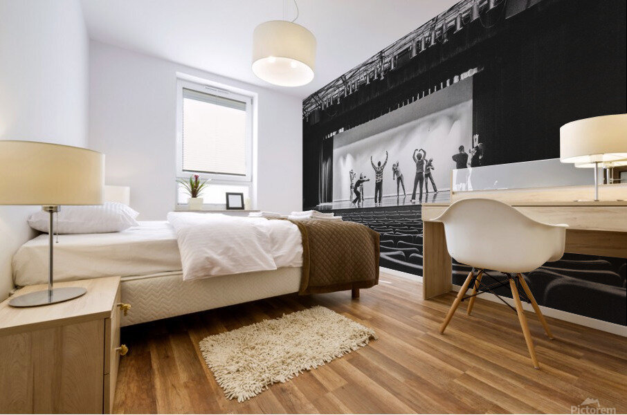 Street Photography - Preparation - St. Louis MO Mural print