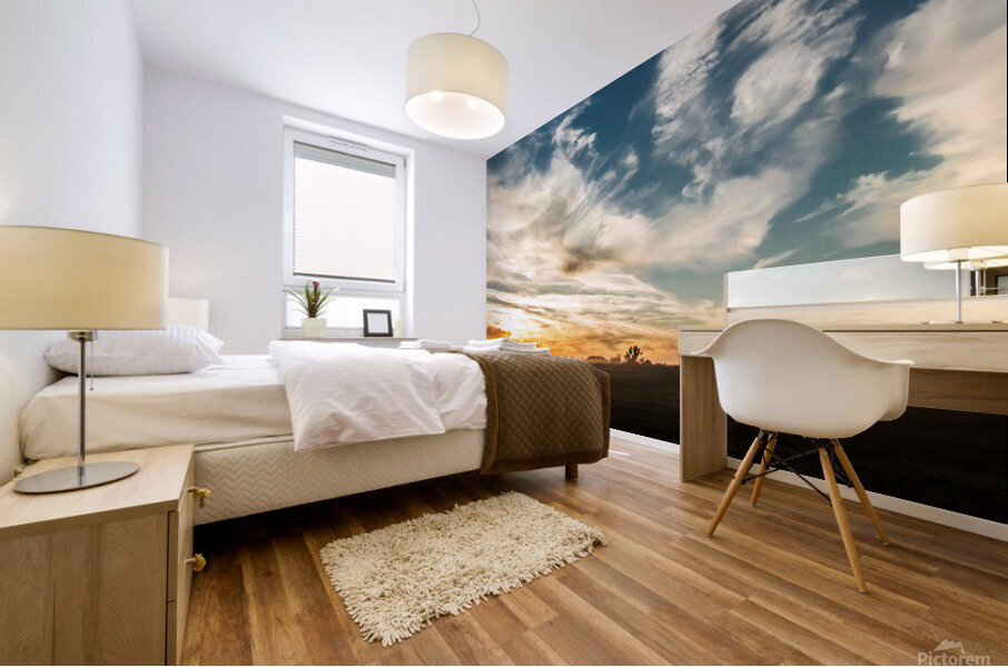 Artwork - Dusty Sunset - Busch Wildlife MO Mural print