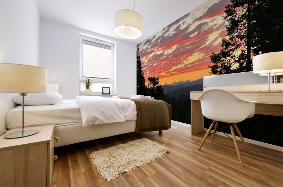 Deb  Sunrise SharpenAI Focus Mural print