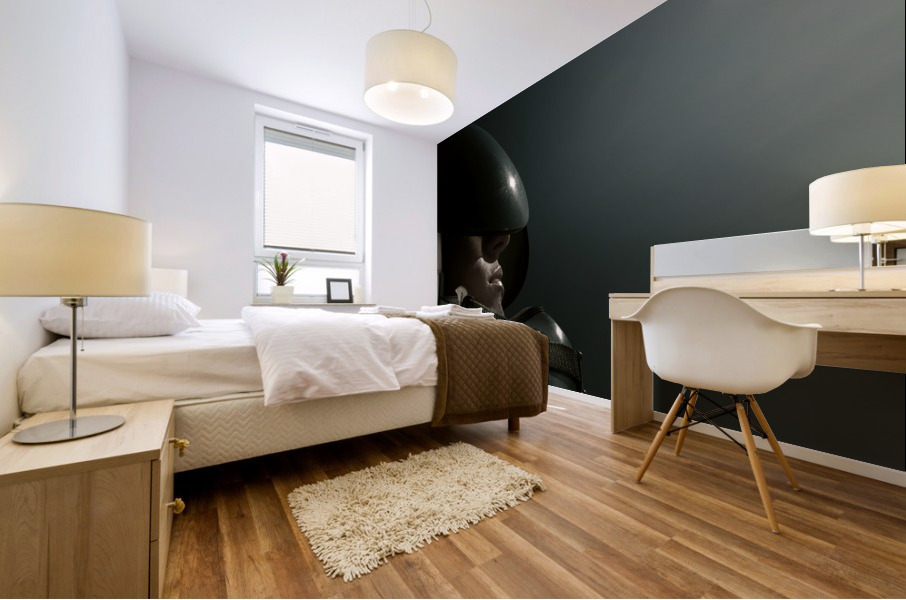 COSMIC PILOT Mural print