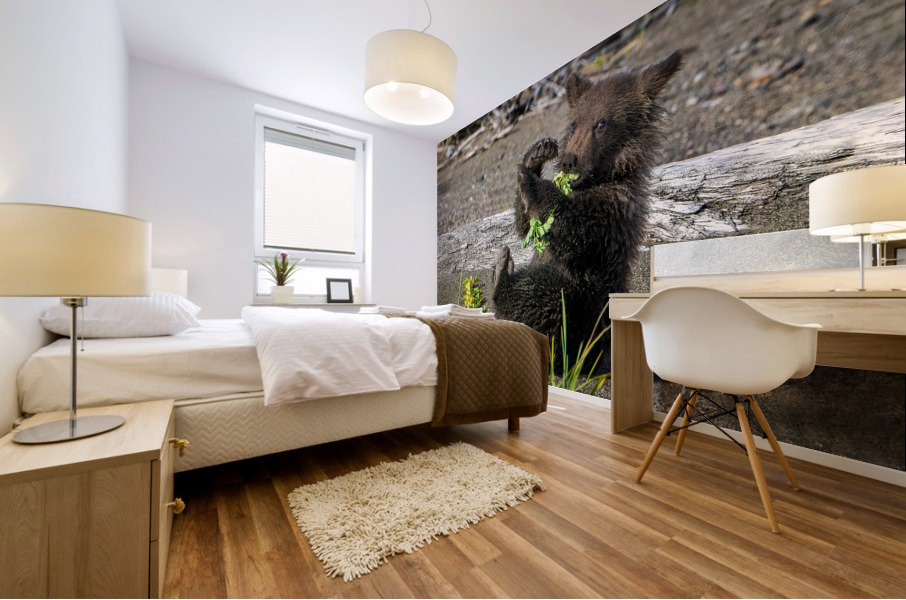 Lake Clark Bear Cub Playing with Leaves  Mural print