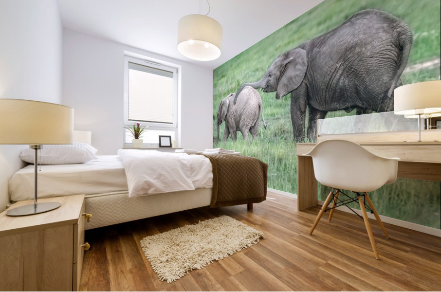 Baby Elephants Hugging  Mural print