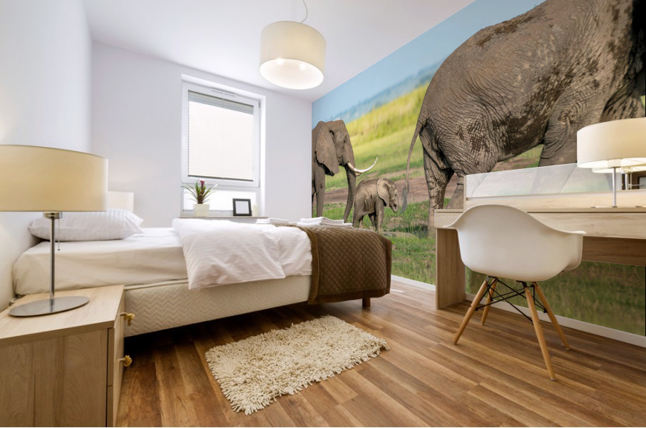 Elephants in a Row   Baby in Middle  Mural print