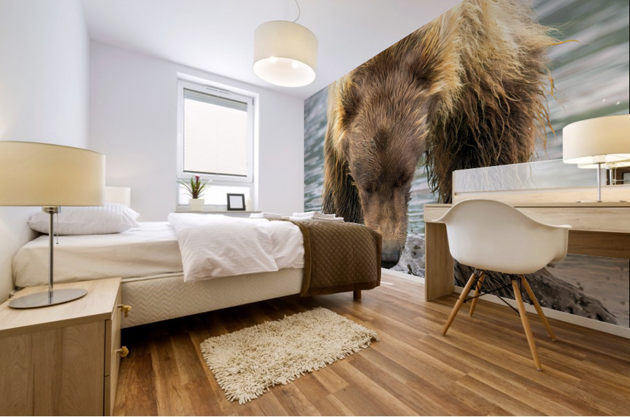 Lake Clark Bear Digging for Clams Reflection Mural print