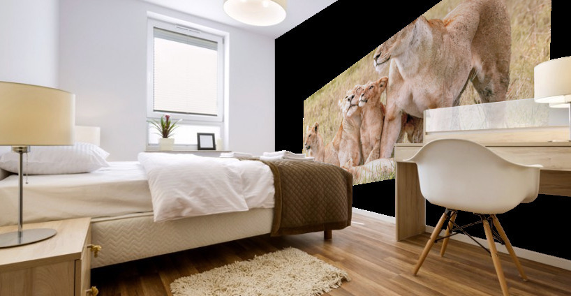 Kenya Lion Family Snuggling Mural print
