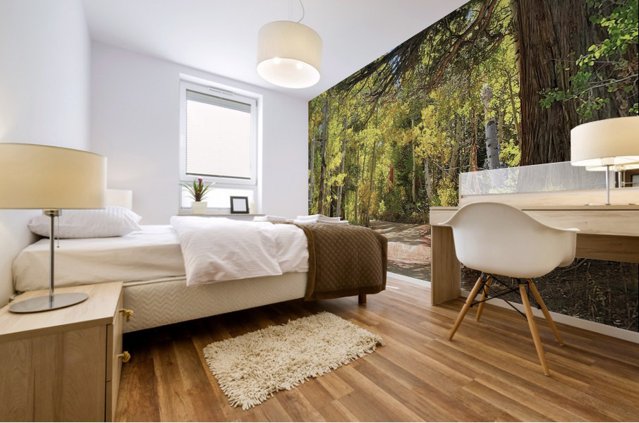 Fall Arrival Mural print
