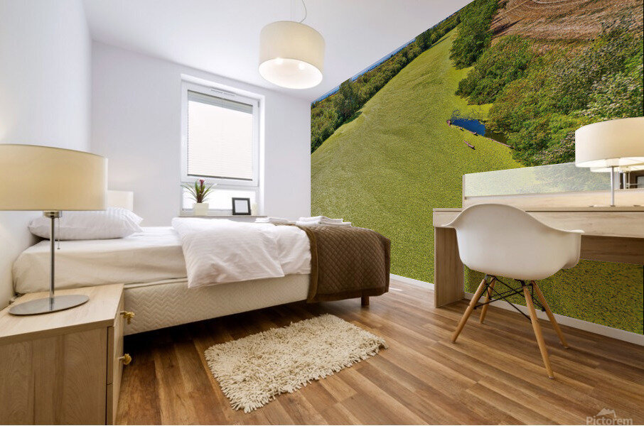 background of green algae on river  Mural print