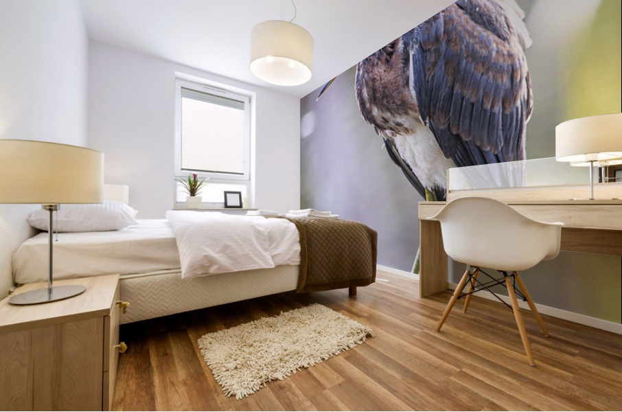 2022 Sept 27 TricoloredHeron03 Mural print