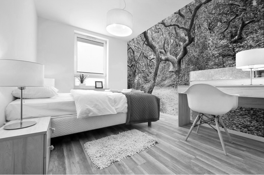 2022 Sept 27 ElliotCouesTrl03 Mural print