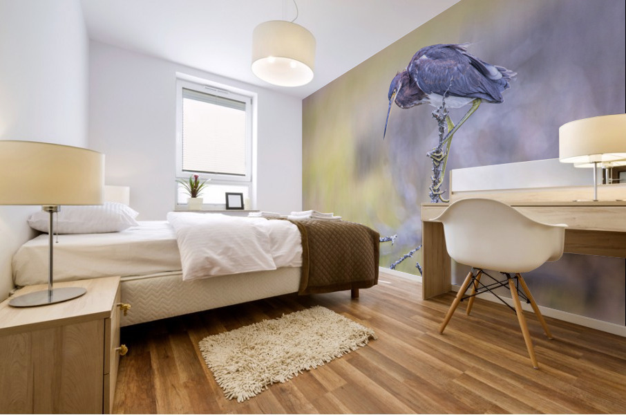 2022 Sept 27 TricoloredHeron02 Mural print