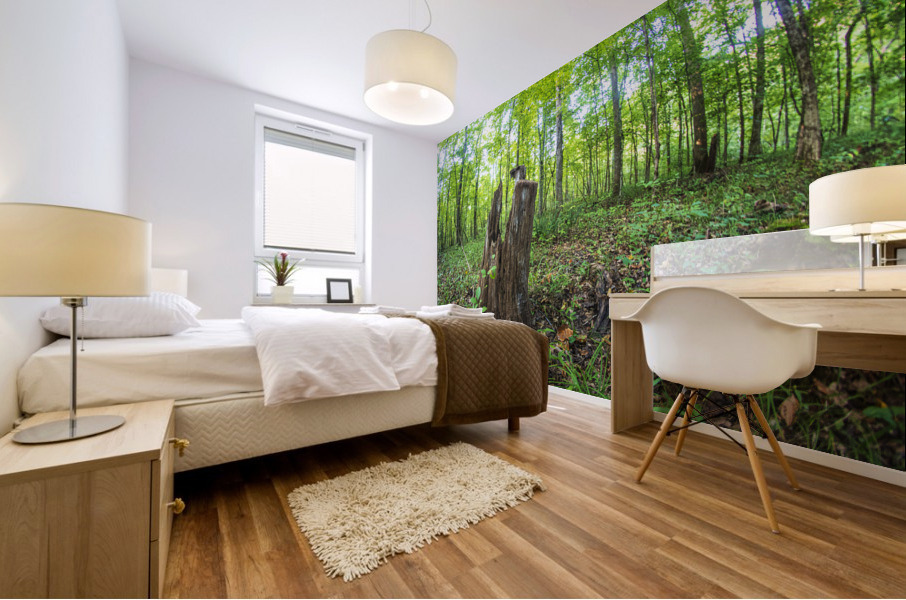 2022 Sept 18 ForestScene01 Mural print