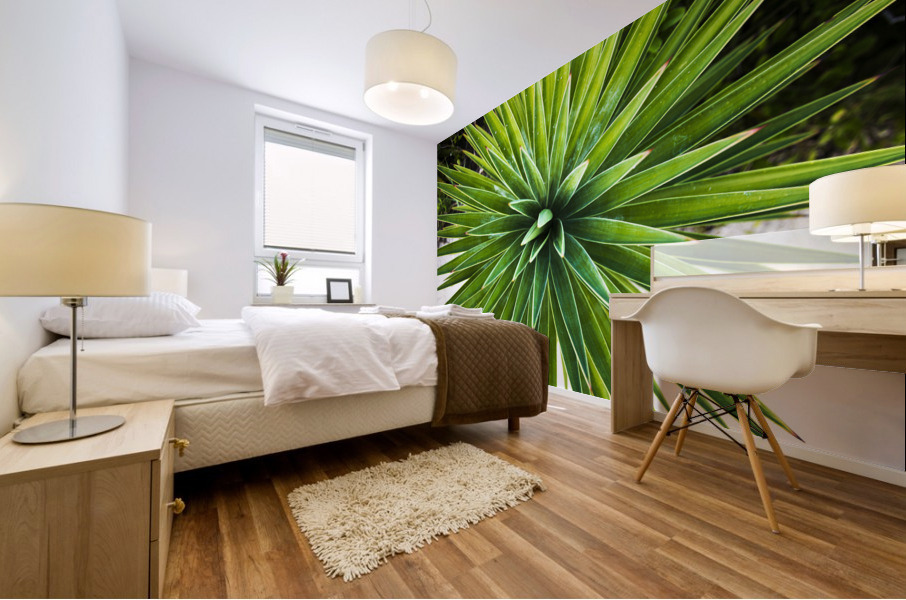 2022 Aug 30 Yucca01 Mural print